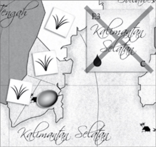 Kalimantan Selatan example